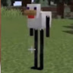 Meet your Posher, Gabi